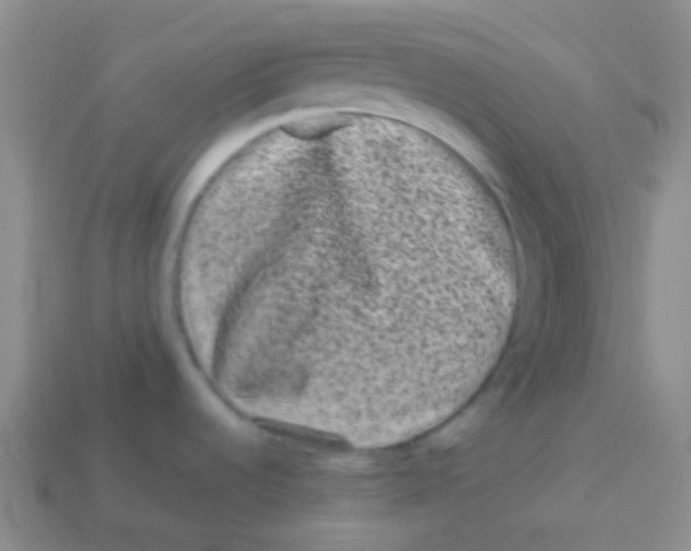 X0000113611536200910161918