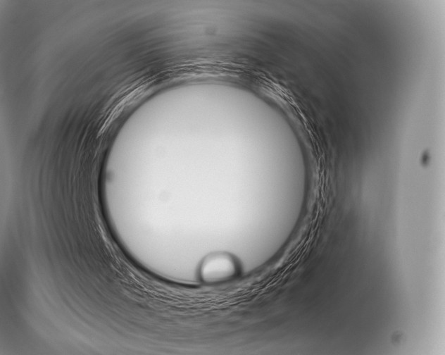 X0000113620001200909181127