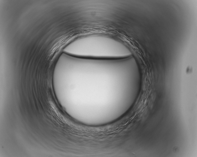 X0000113620002200909181127