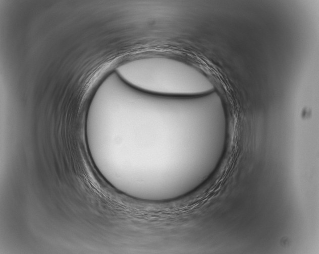 X0000113620003200909181127