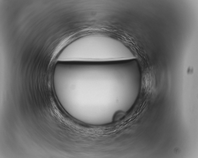 X0000113620004200909181127