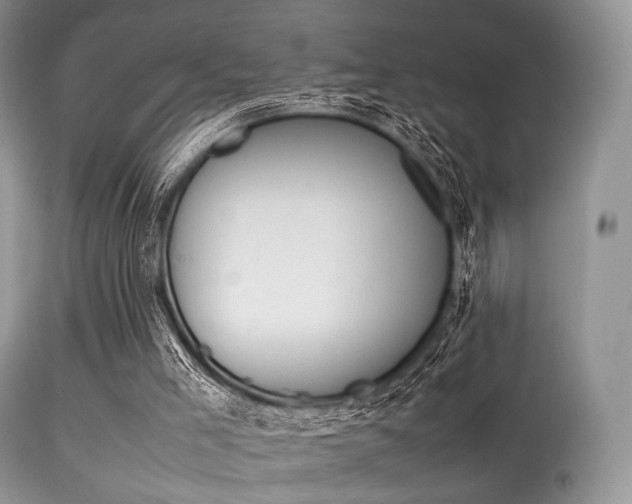 X0000113620005200909181127