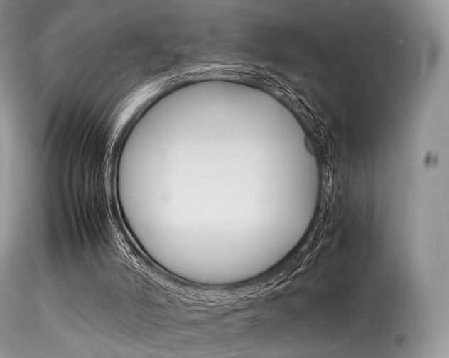 X0000113620006200909181127