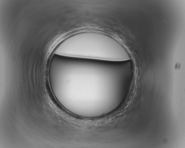 X0000113620007200909181127