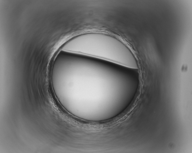 X0000113620008200909181127