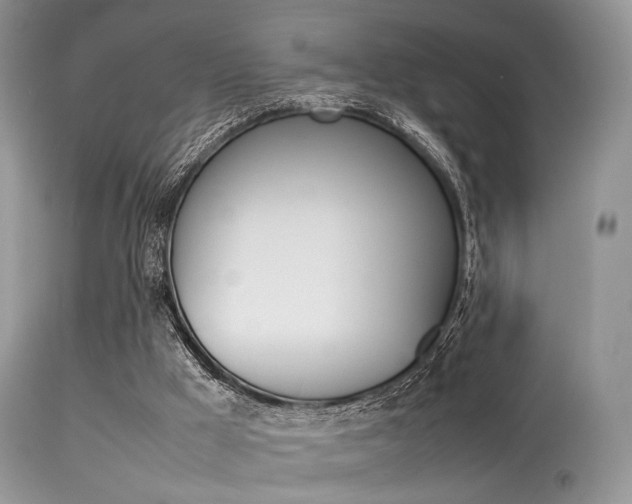 X0000113620009200909181127