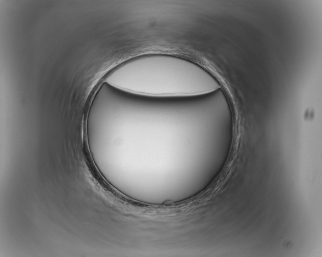 X0000113620011200909181127