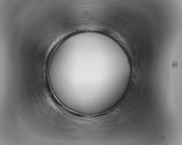 X0000113620012200909181127