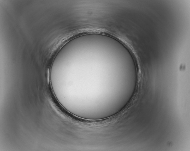 X0000113620013200909181127