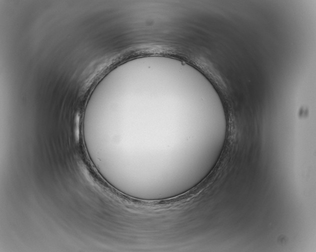 X0000113620014200909181127