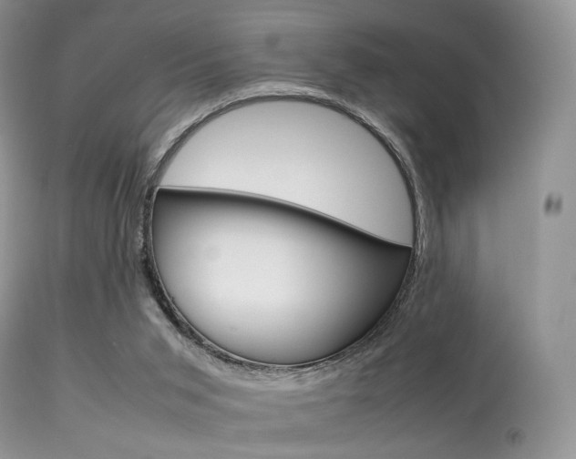 X0000113620015200909181127