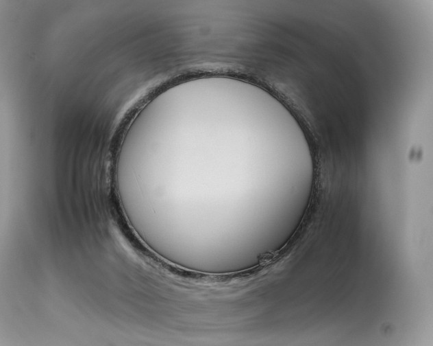 X0000113620016200909181127