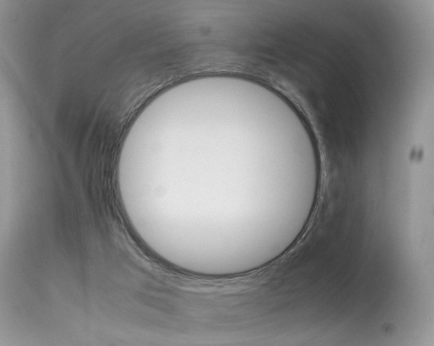 X0000113620017200909181127