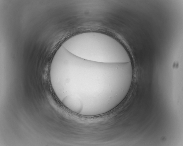 X0000113620018200909181127