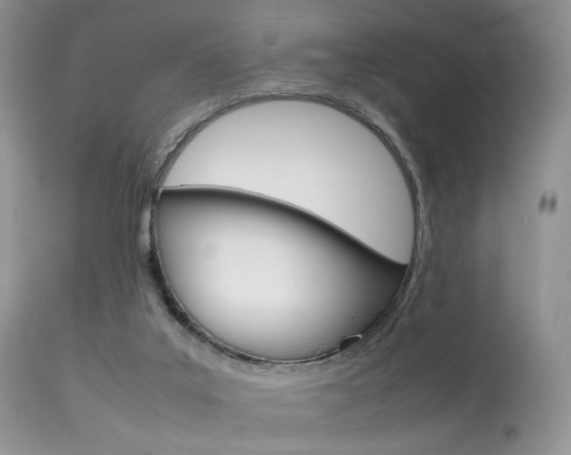 X0000113620019200909181127