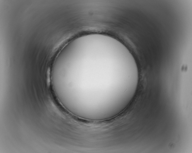 X0000113620020200909181127