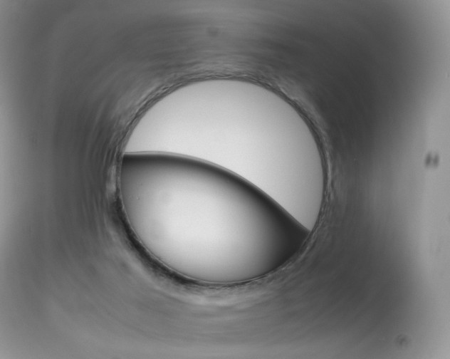 X0000113620021200909181127