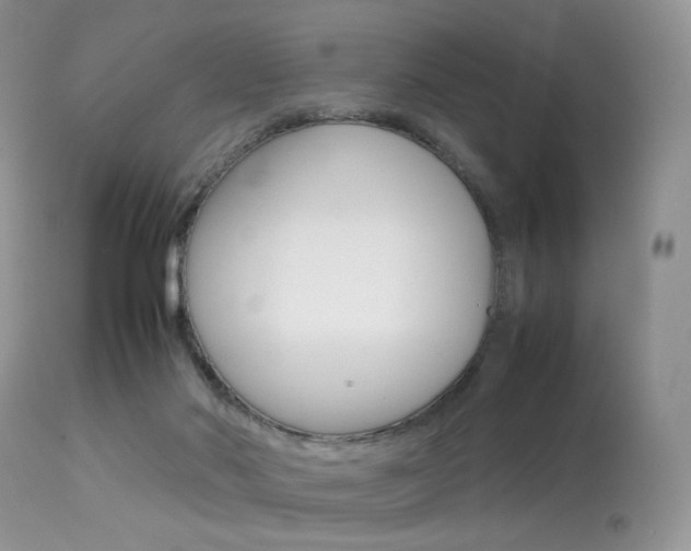 X0000113620022200909181127