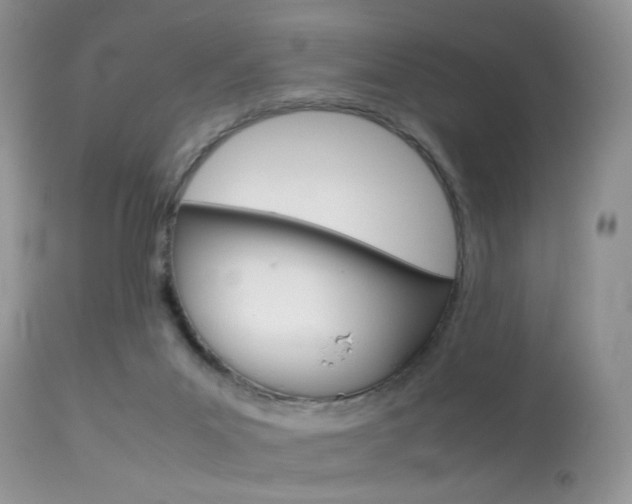 X0000113620023200909181127