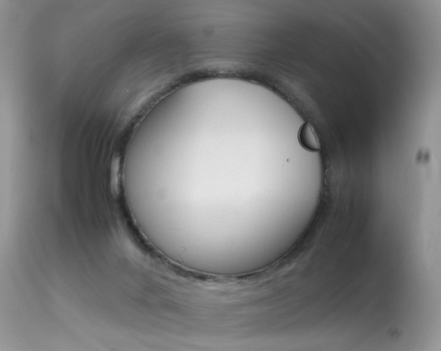 X0000113620024200909181127