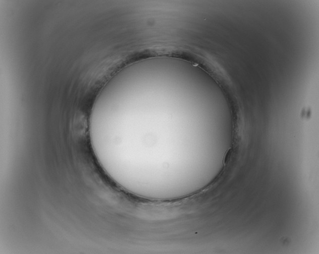 X0000113620025200909181127