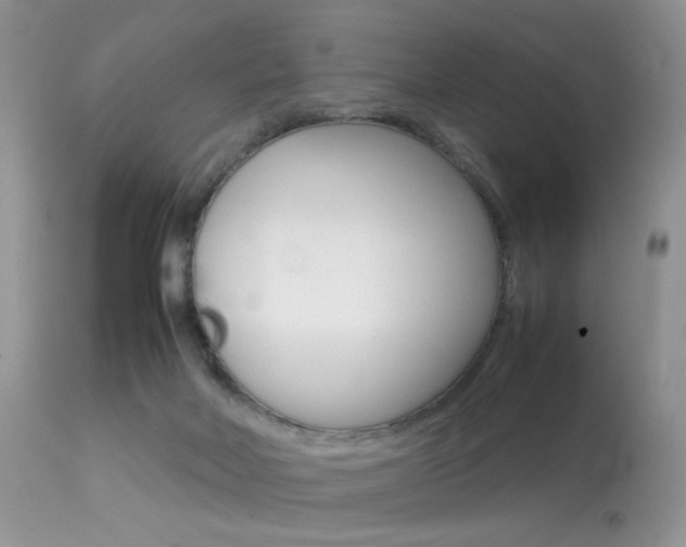 X0000113620026200909181127