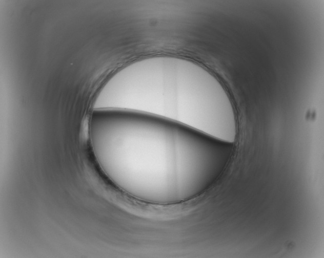 X0000113620027200909181127