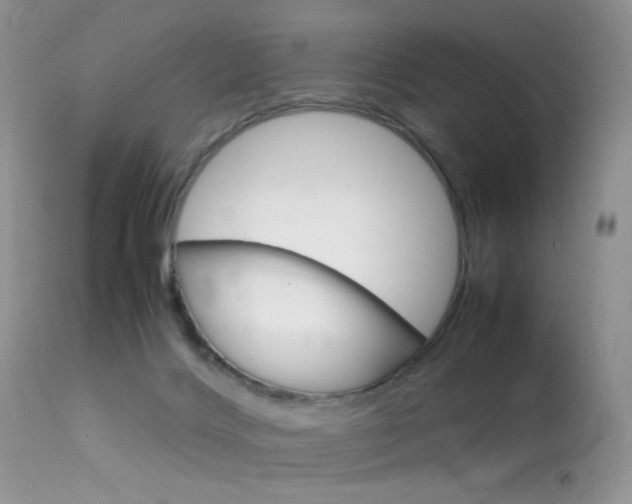 X0000113620028200909181127