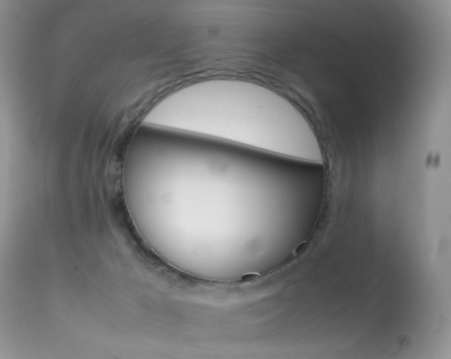 X0000113620029200909181127