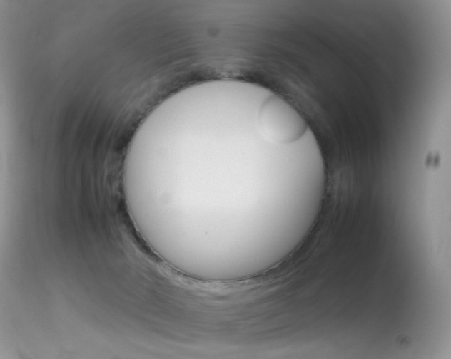 X0000113620030200909181127