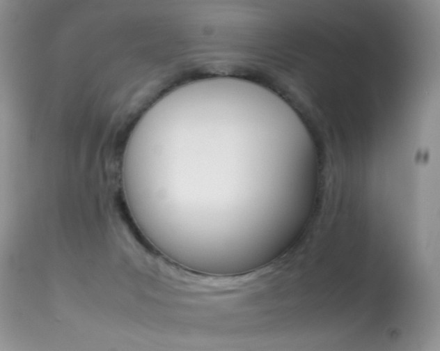 X0000113620031200909181127