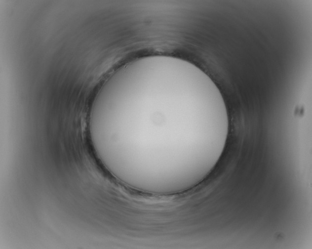 X0000113620032200909181127