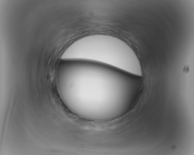 X0000113620033200909181127