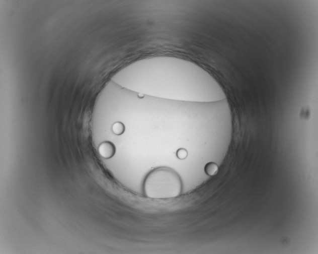 X0000113620034200909181127