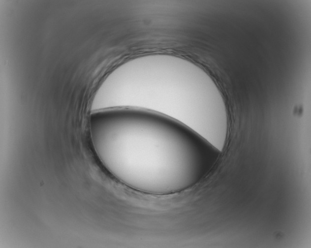 X0000113620035200909181127