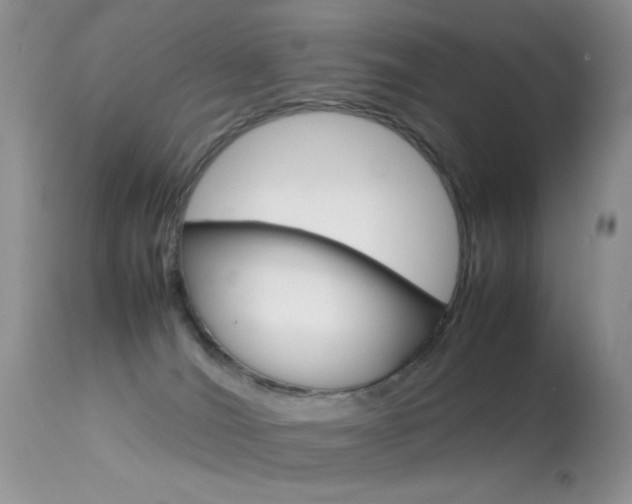 X0000113620036200909181126