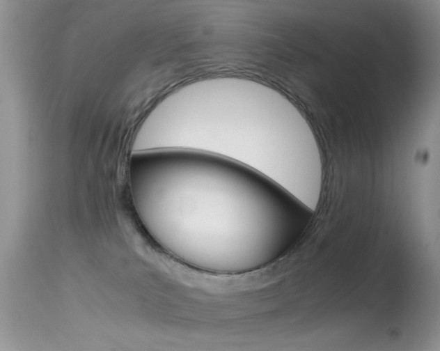 X0000113620039200909181126