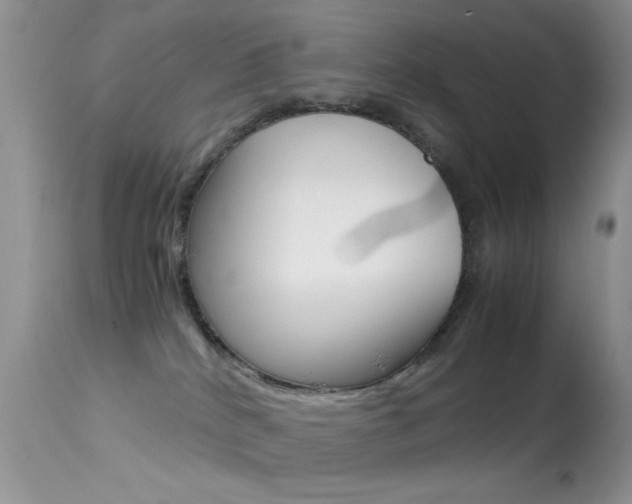 X0000113620040200909181126