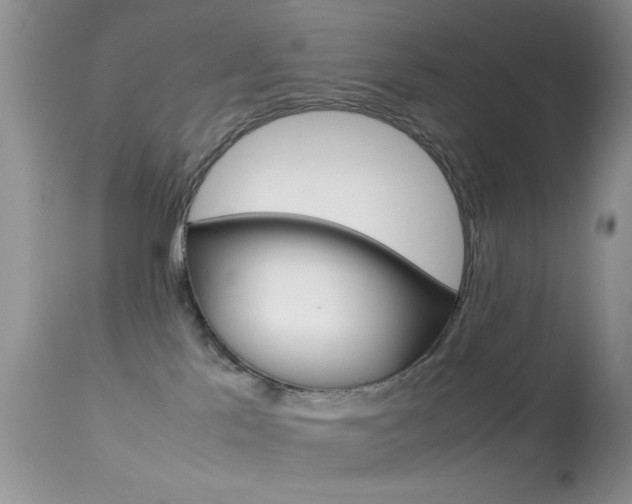 X0000113620041200909181126