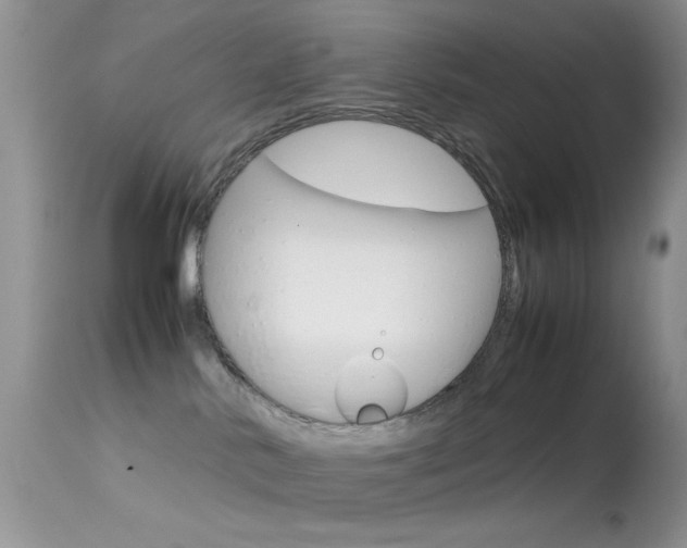 X0000113620042200909181126