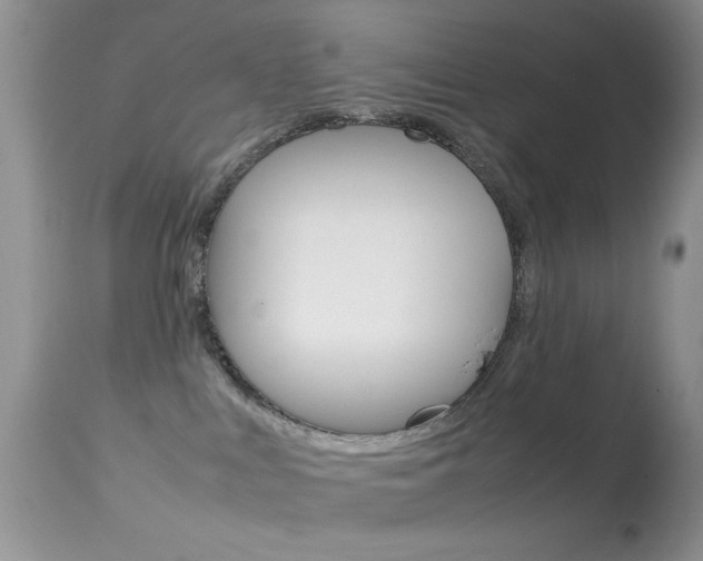 X0000113620043200909181126