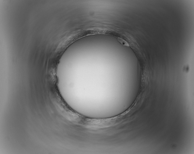 X0000113620045200909181126