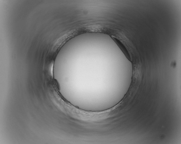 X0000113620047200909181126