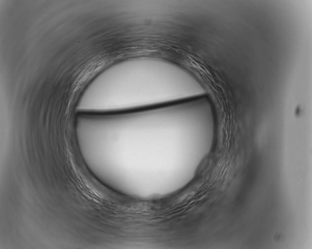 X0000113620049200909181126