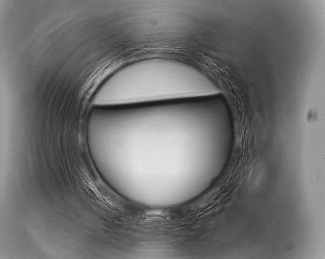 X0000113620050200909181126