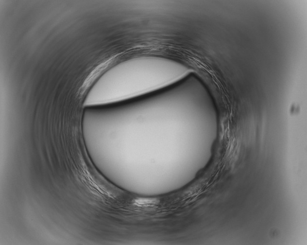 X0000113620051200909181126