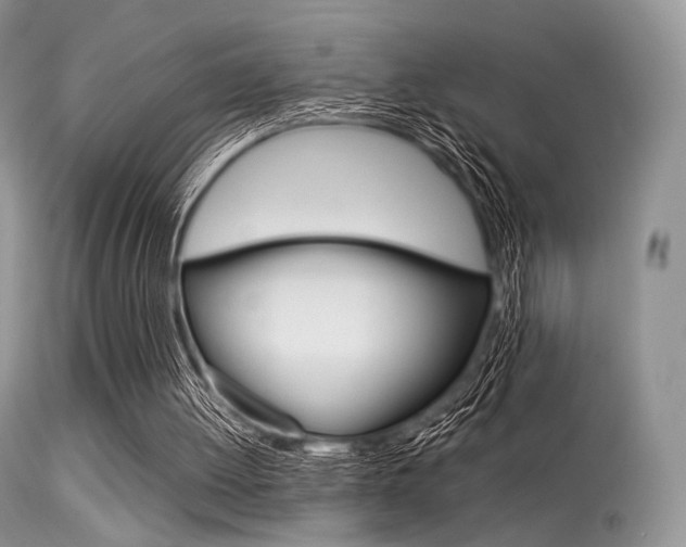 X0000113620052200909181126