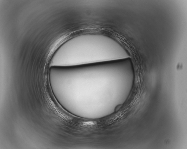 X0000113620053200909181126