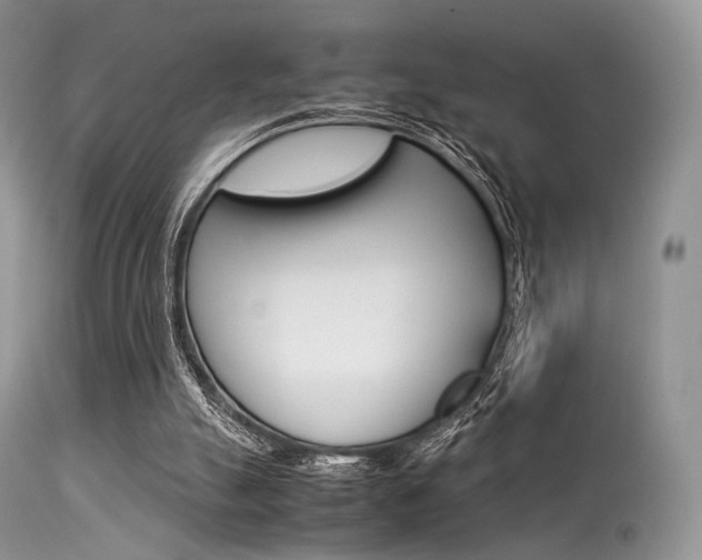 X0000113620055200909181126