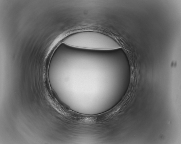 X0000113620056200909181126